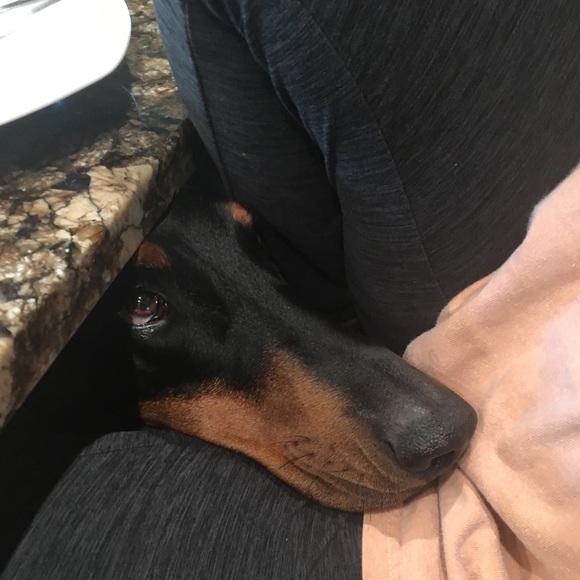 Meet your Posher, Amanda - Picture 3 of 6